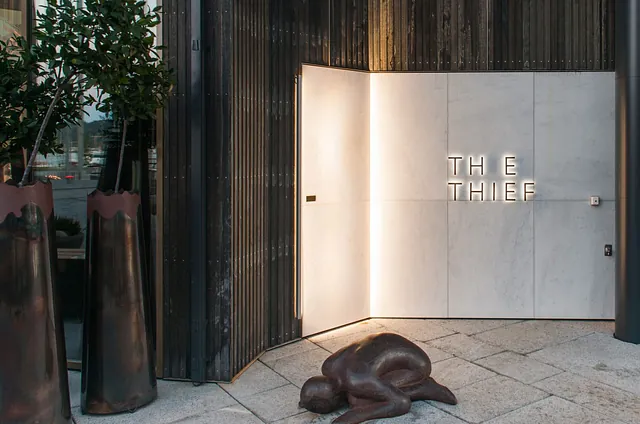 The Thief